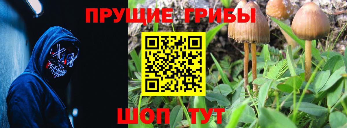 Псилоцибиновые грибы мухоморы Зеленодольск